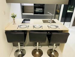 Cairnhill Nine (D9), Apartment #535065021